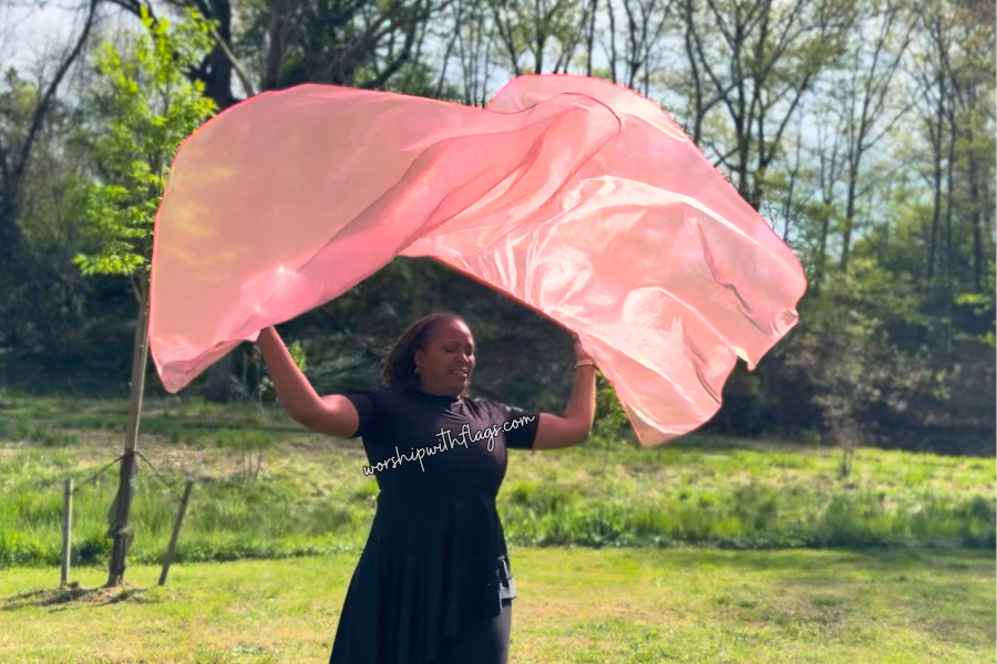 Coral Iridescent Large Angel Wing Flags