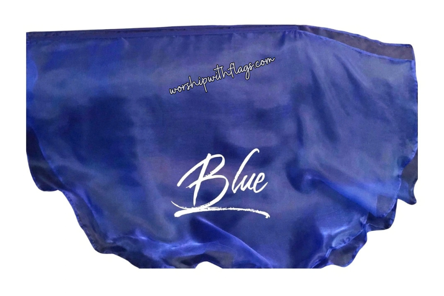 Adult & Child Medium Sheer Organza Angel Wing Flags