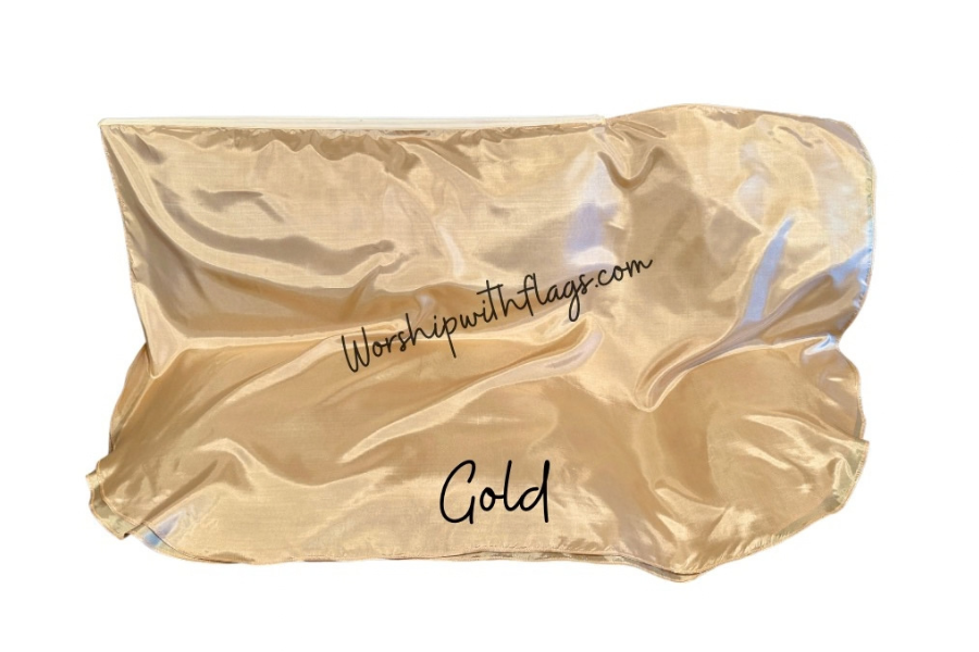 Adult & Child Medium Poly Silk Angel Wing Flags