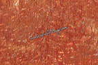 Fire Holographic Angel Wing Flags