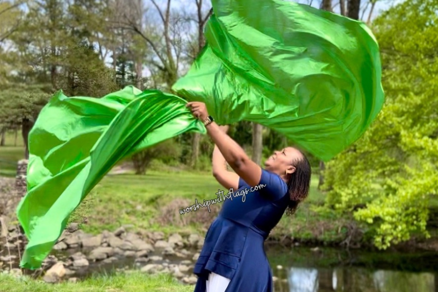 Lime Green Luxe Lamé Angel Wing Flags