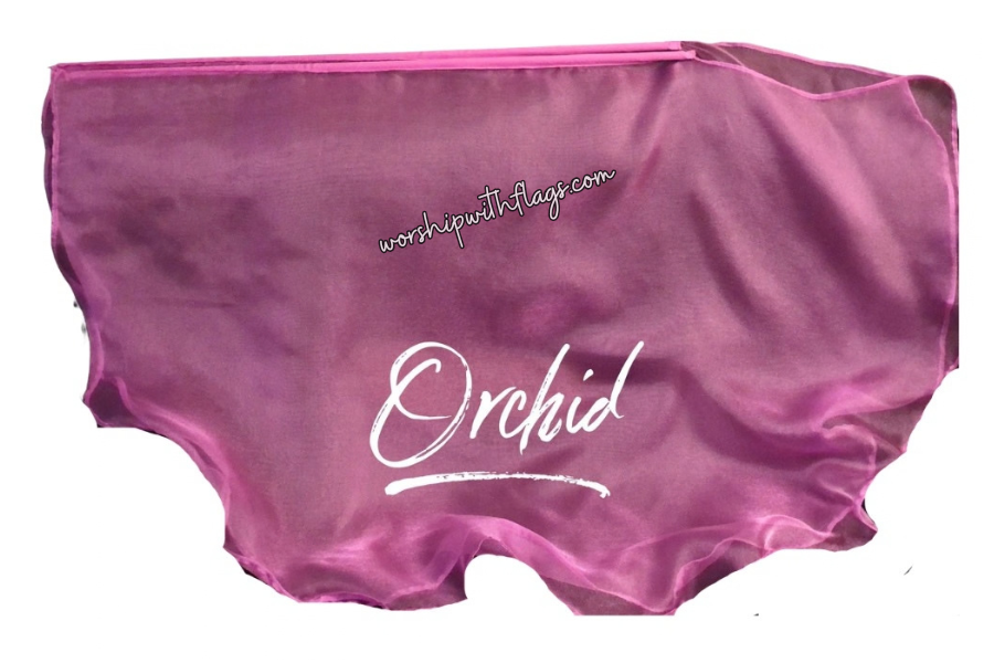 Adult & Child Medium Sheer Organza Angel Wing Flags