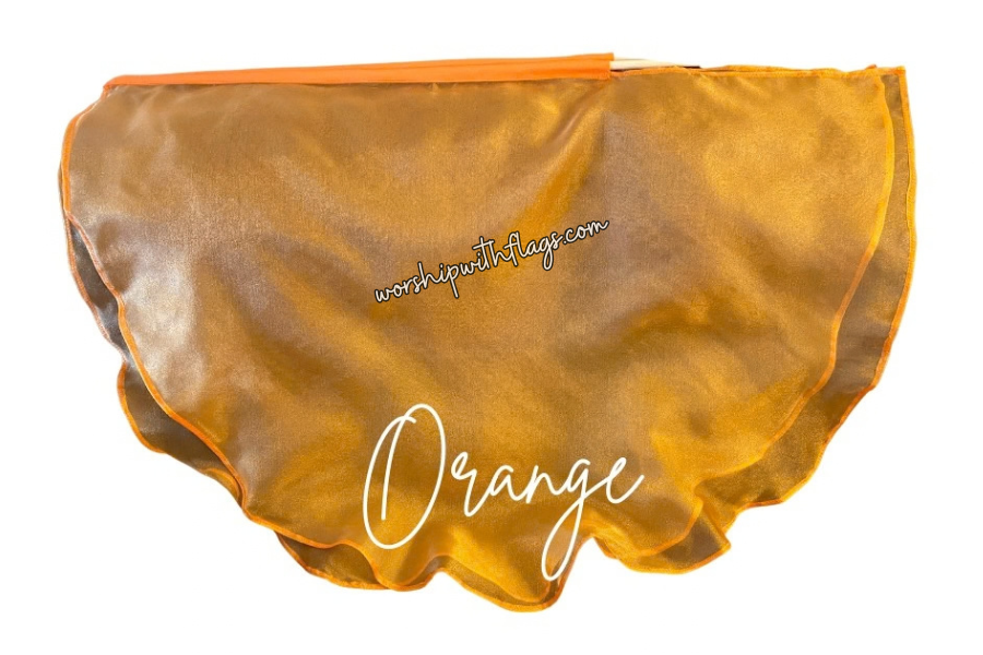 Children's Small Sheer Organza Angel Wing Flags