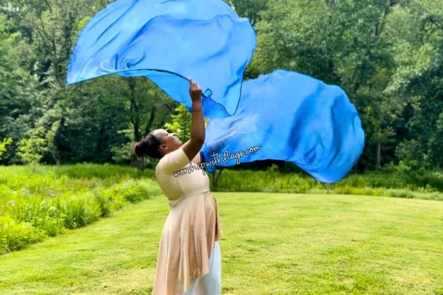 Large & X-Large Sheer Organza Angel Wing Flags