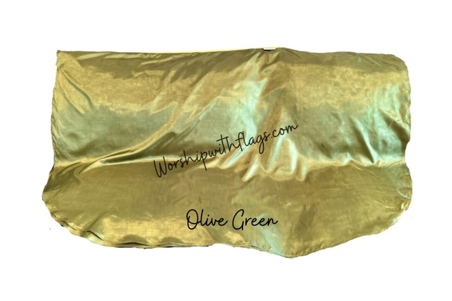 Adult & Child Medium Poly Silk Angel Wing Flags