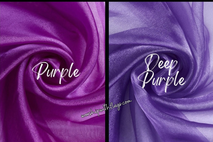 Adult & Child Medium Sheer Organza Angel Wing Flags