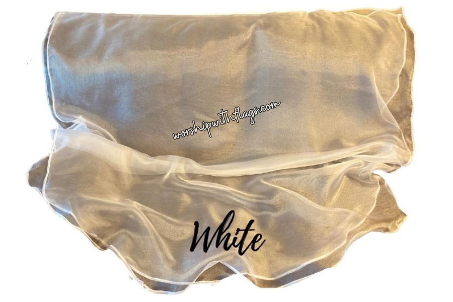 Large & X-Large Sheer Organza Angel Wing Flags