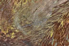 Gold Holographic Worship Flags