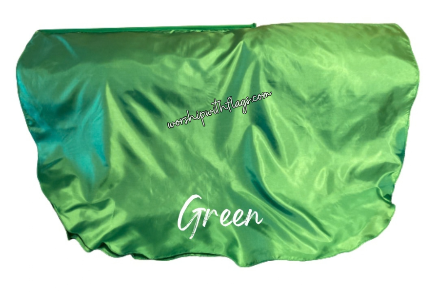 Adult & Child Medium Poly Silk Angel Wing Flags