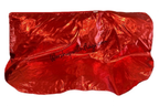 Adult Medium Metallic Lamé Angel Wing Flags