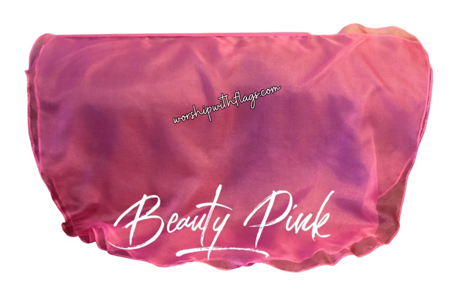 Adult & Child Medium Sheer Organza Angel Wing Flags