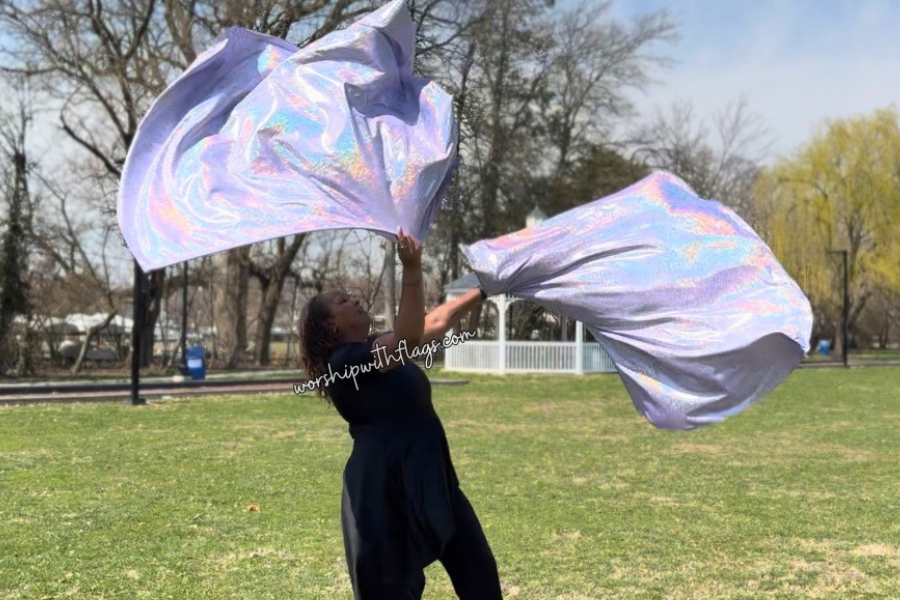Lavender Holographic Angel Wing Flags