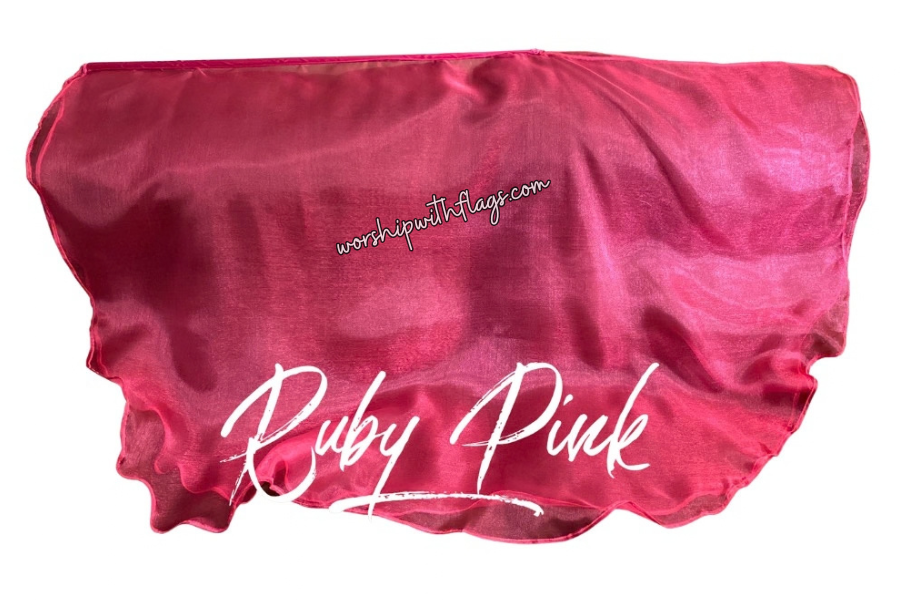 Adult & Child Medium Sheer Organza Angel Wing Flags