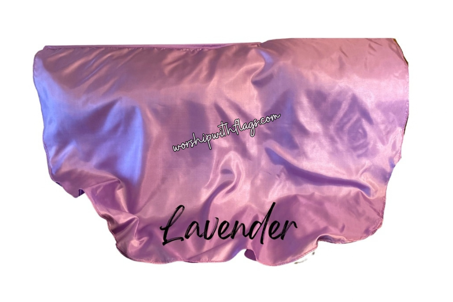 Adult & Child Medium Poly Silk Angel Wing Flags