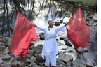 Red Classic Lamé Large Angel Wing Flags