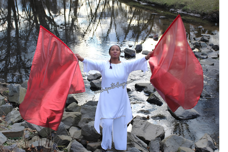 Red Classic Lamé Large Angel Wing Flags
