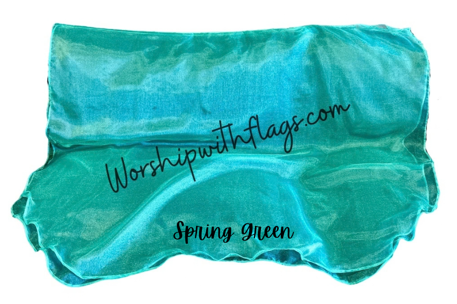 Large & X-Large Sheer Organza Angel Wing Flags