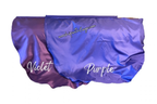 Adult & Child Medium Poly Silk Angel Wing Flags
