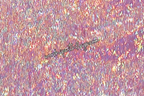 Pink/Fuchsia Holographic Worship Flags