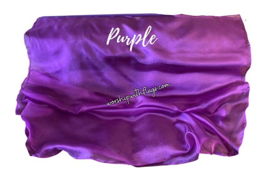 Large & X-Large Sheer Organza Angel Wing Flags