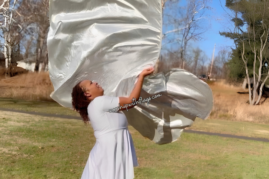 Silver Classic Lamé Large Angel Wing Flags
