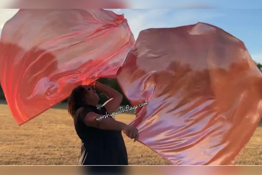 Coral Metallic Lamé Angel Wing Flags