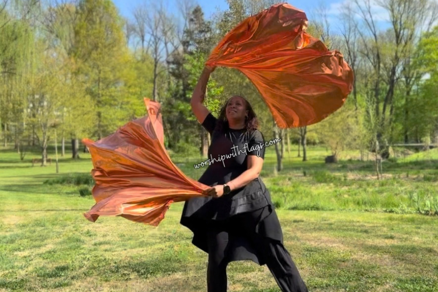 Adult Medium Metallic Lamé Angel Wing Flags