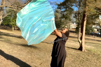 Aqua Iridescent Large Angel Wing Flags