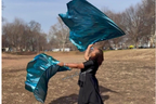 Teal Metallic Lamé Angel Wing Flags