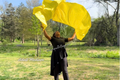 Adult & Child Medium Poly Silk Angel Wing Flags