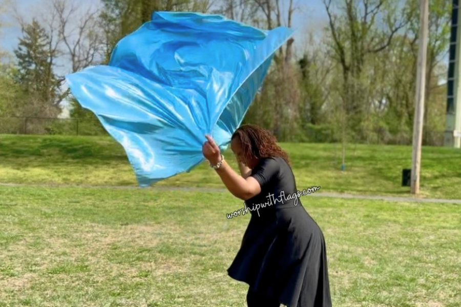 Sky Blue Luxe Lamé Angel Wing Flags