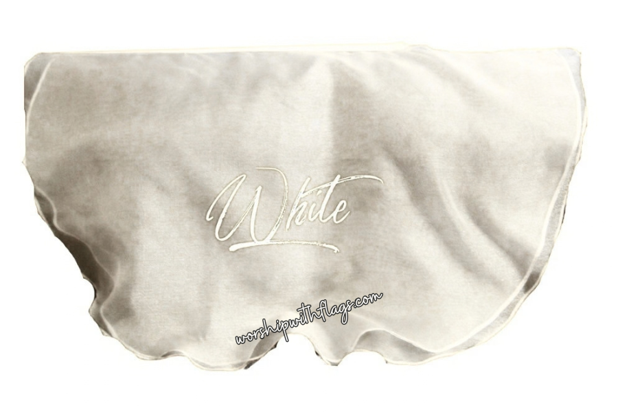 Adult & Child Medium Sheer Organza Angel Wing Flags