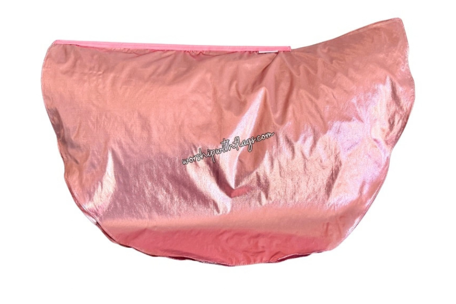 Children's Small Classic Lamé Angel Wing Flags