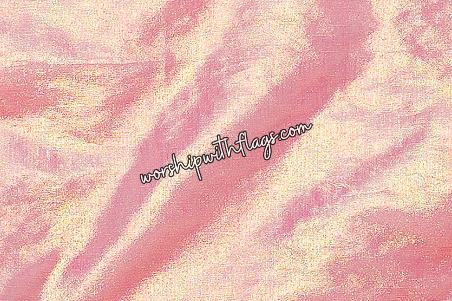 Coral Iridescent Large Angel Wing Flags