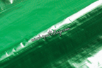 Green Metallic Lamé Angel Wing Flags