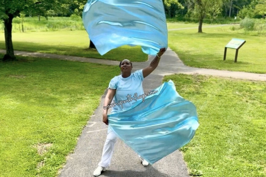 Sky Blue Metallic Lamé Angel Wing Flags