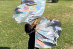 Dark Silver Holographic Angel Wing Flags
