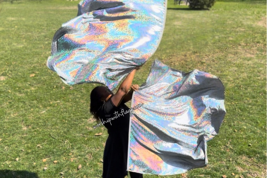 Dark Silver Holographic Angel Wing Flags