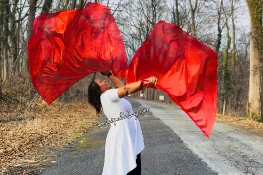 Red Luxe Lamé Angel Wing Flags