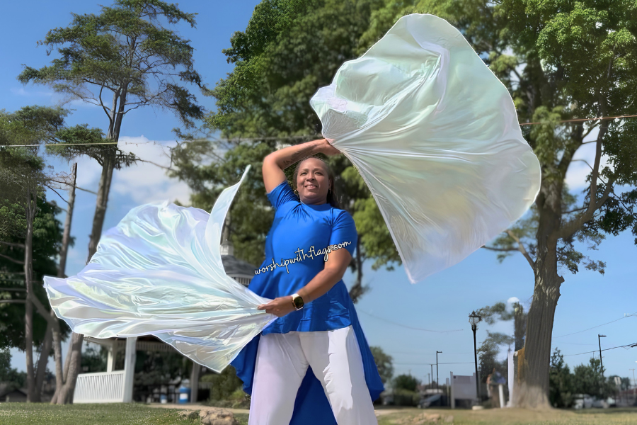White Iridescent Large Angel Wing Flags
