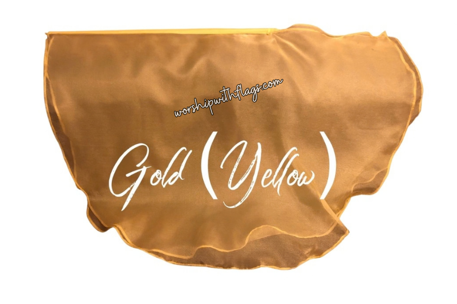 Adult & Child Medium Sheer Organza Angel Wing Flags