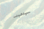 Sea Green Iridescent Large Angel Wing Flags