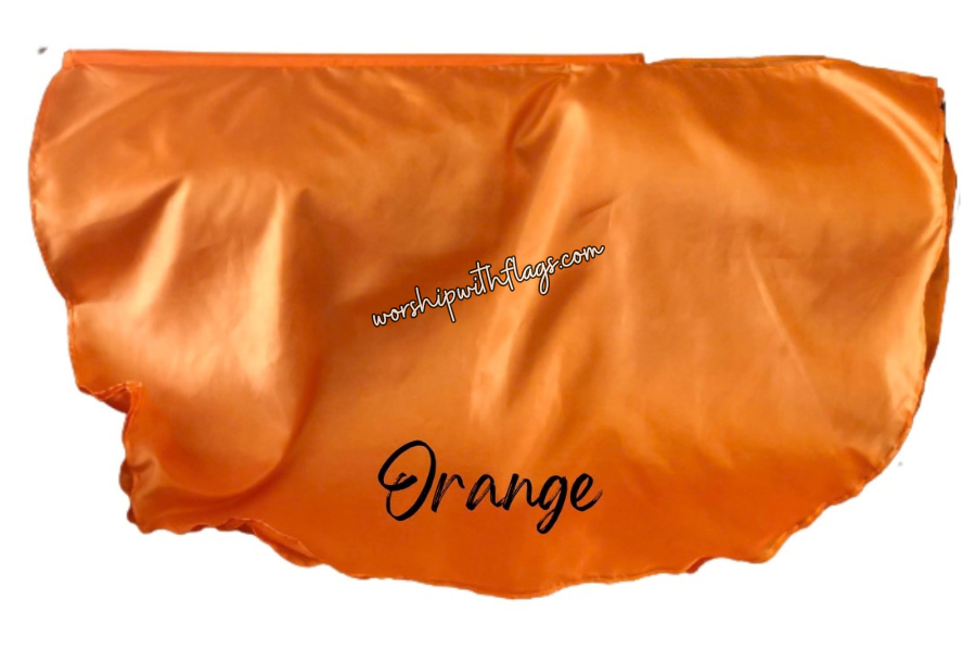 Adult & Child Medium Poly Silk Angel Wing Flags