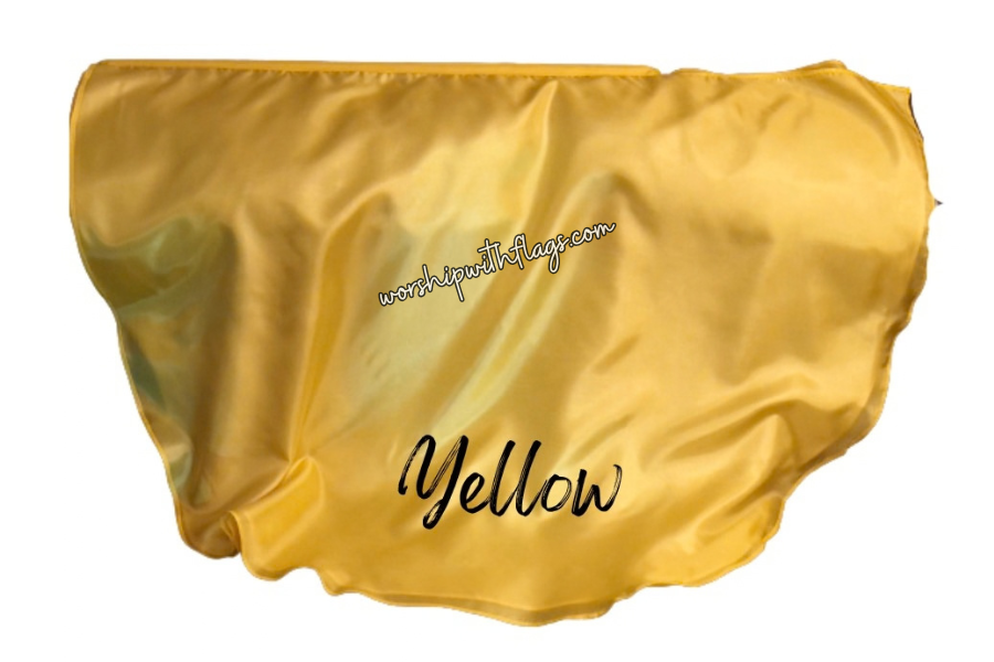 Adult & Child Medium Poly Silk Angel Wing Flags