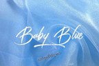 Adult & Child Medium Sheer Organza Angel Wing Flags