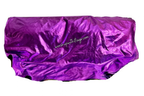 Adult Medium Metallic Lamé Angel Wing Flags
