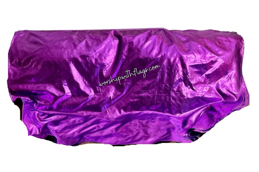 Adult Medium Metallic Lamé Angel Wing Flags
