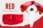 Adult Medium Shimmer Lamé Angel Wing Flags