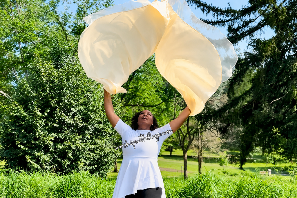 Radiant Offering Double Layer Champagne Angel Wing Flags