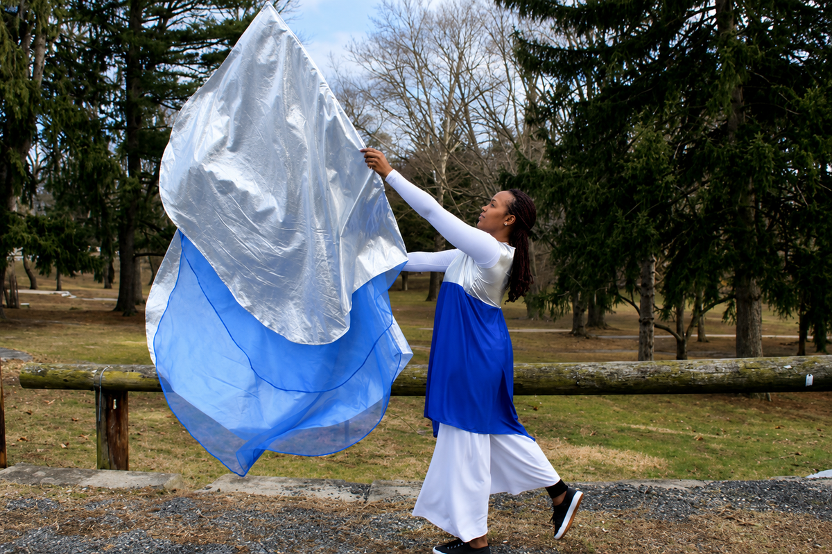 Divine Clarity Double Layer Angel Wing Flags